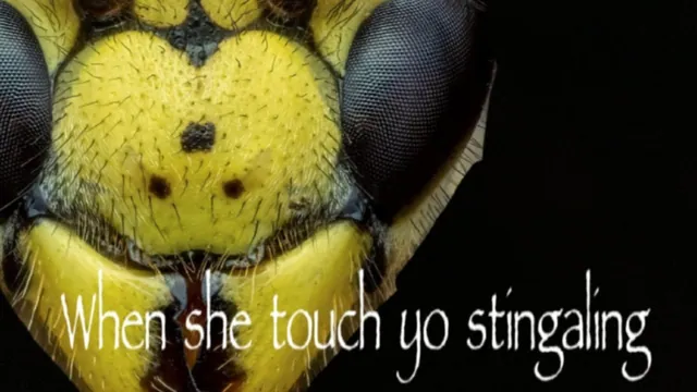 When She Touch Yo Dingaling meme card