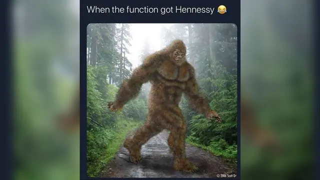 Carte meme When The Function Got Hennessy