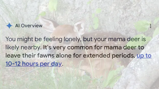 Carte meme « Where Is Mama? » AI Overviews