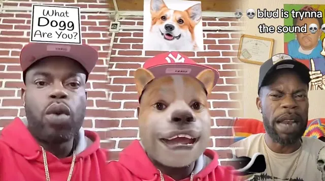 Which Bomboclaat Dog I Am? meme card