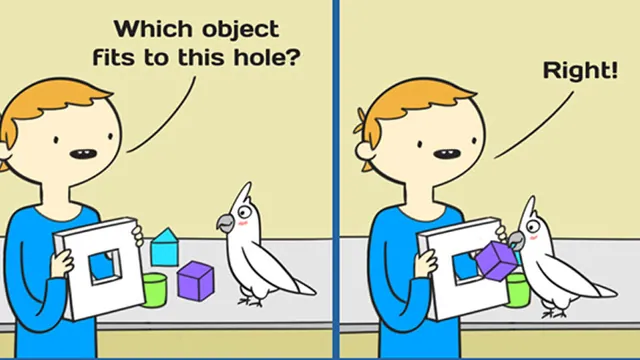 Which Object Fits to This Hole meme card