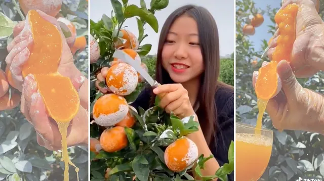 Carte meme White Powdered Oranges