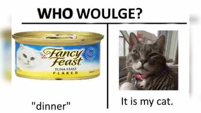 Carte meme Who Woulge?