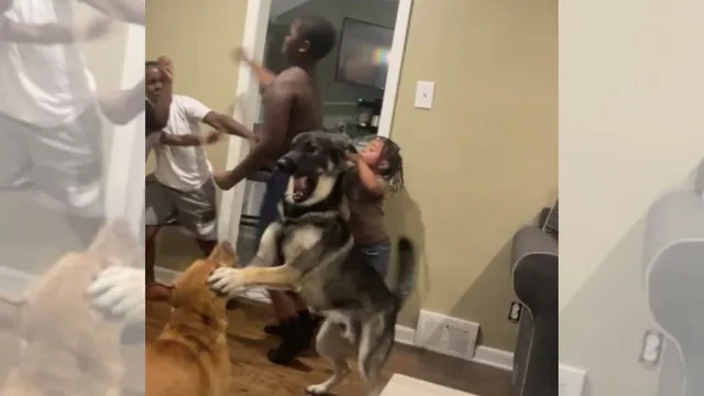 Whole House Mad meme card