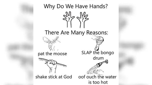 Carte meme Why Do We Have Hands? There Are Many Reasons