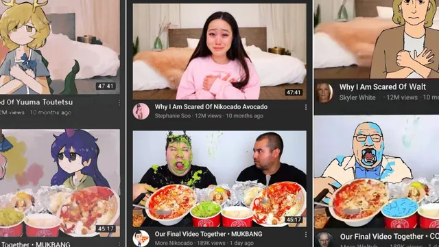 Why I Am Scared Of Nikocado Avocado / Our Final Video Together Mukbang meme card