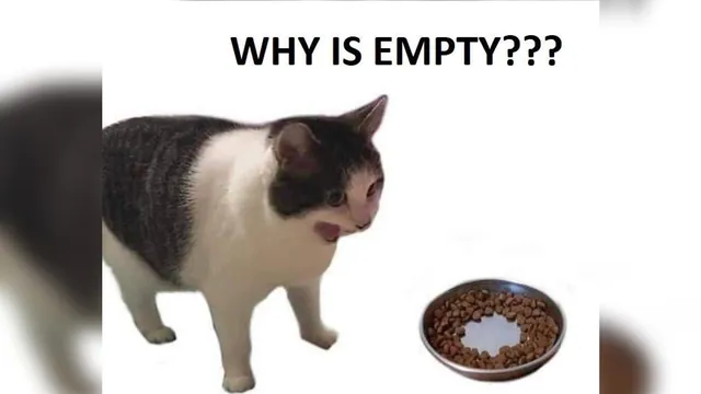 Carte meme Why Is It Empty?