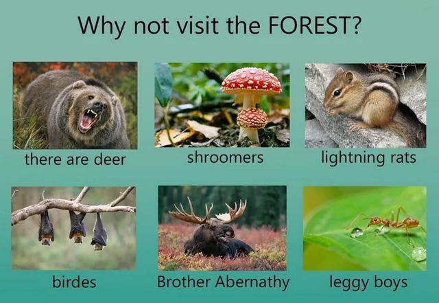 Carte meme « Why Not Visit? » Edits