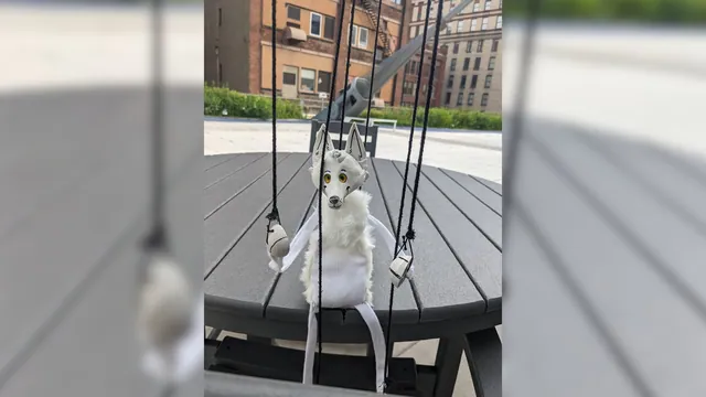 Wiggle Fox / Anthrocon 2023 Fox Puppet meme card