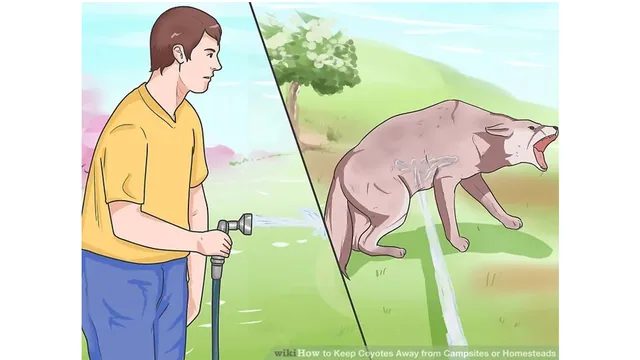 Carte meme Wikihow Dog Sprayed By Hose