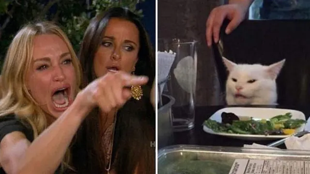 Carte meme Woman Yelling at a Cat