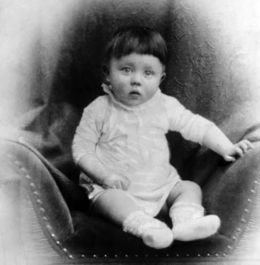Would You Kill Baby Hitler meme card