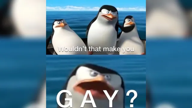 Wouldn't That Make You Gay? meme card