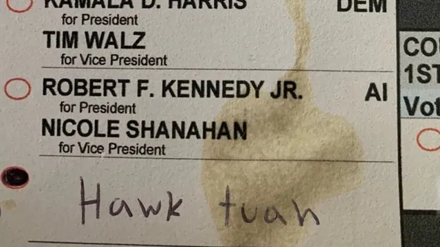 Write-In Vote Hawk Tuah Girl for President meme card