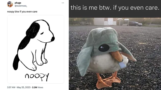 X BTW If You Even Care meme card