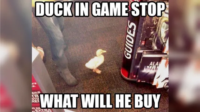 Carte meme X in the Y, What Will He Do?