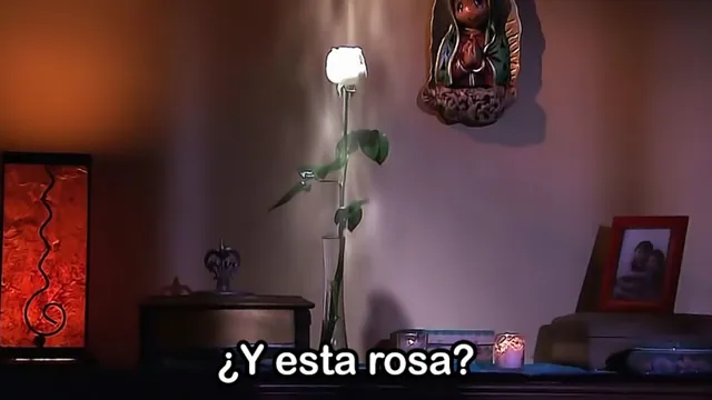 Y Esta Rosa? meme card