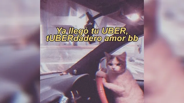 Ya Llegó Tu Uber, Tuberdadero Amor meme card