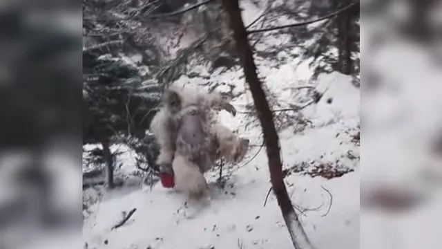 Carte meme Yeti Falling Down Hill