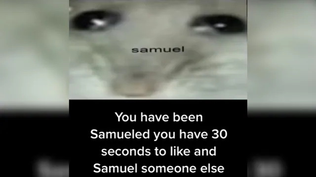 Carte meme You Have Been Samueled