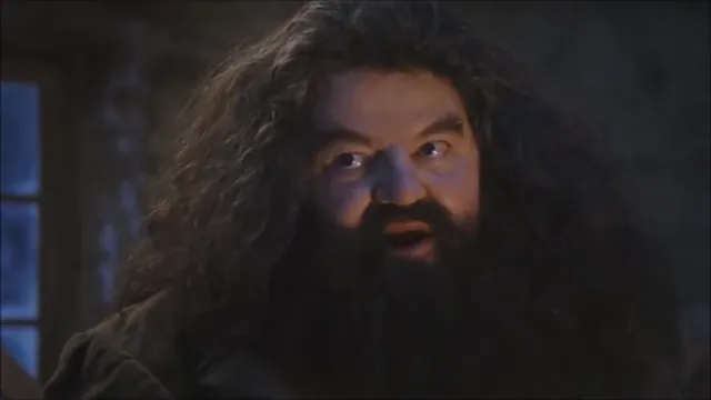 You're a Wizard, Harry! meme card