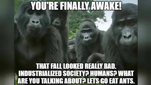 Carte meme You’re Finally Awake / You Hit Your Head Really Hard