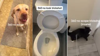 360 No Scope Toilet Trickshots meme card, common rarity
