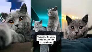 Carte meme 3D Photo Trend / Phonky Town, rareté rare
