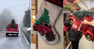 A Little Red Truck Hauling a Christmas Tree meme card, common rarity