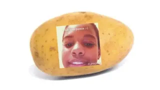 A Potato Flew Around My Room meme card, rare rarity