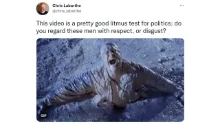 A Pretty Good Litmus Test for Politics meme card, common rarity