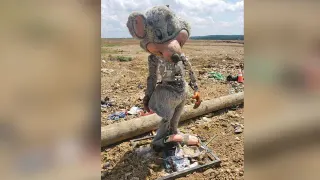 Abandoned Chuck E. Cheese Animatronic meme card, common rarity