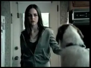 Above the Influence Talking Dog PSA meme card, common rarity