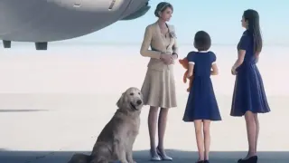 Ace Combat JPEG Dog meme card, rare rarity
