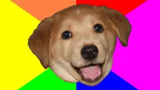 Advice Dog meme card, legendary rarity