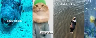 Carte meme Ahlelele Ahlelas, rareté commune