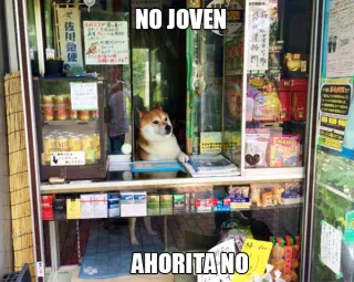 Ahorita No Joven meme card, common rarity