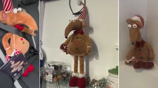 Aldi Christmas Rat meme card, common rarity