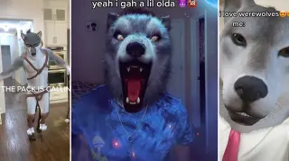 Alpha Werewolf Transformation (TikTok Filter) meme card, common rarity