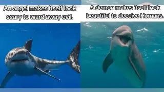 Carte meme An Angel Makes Itself Look Scary To Ward Off Evil. A Demon Makes Itself Beautifu..., rareté commune