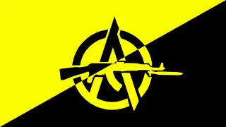 Anarcho-Capitalism meme card, rare rarity