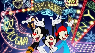 Animaniacs Intro Edits meme card, common rarity