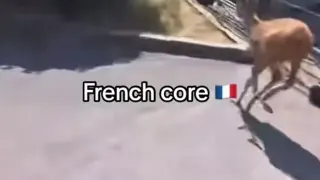 Carte meme L'antilope à la gare de Blois, rareté rare