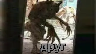 друг / Apyr meme card, epic rarity
