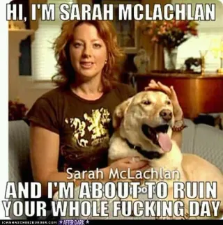 ASPCA Commercial Parodies meme card, common rarity