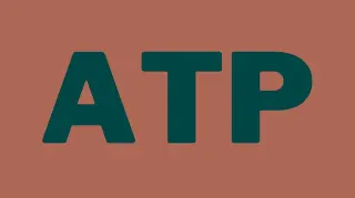 ATP (Slang) meme card, common rarity