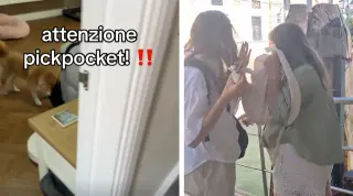 Attenzione Pickpocket! meme card, common rarity