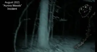 Aurora Woods Incident meme card, rare rarity