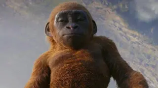 Baby Kong meme card, common rarity