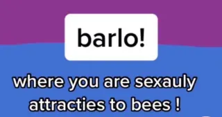 Barlo / Kaan (Sexuality) meme card, common rarity